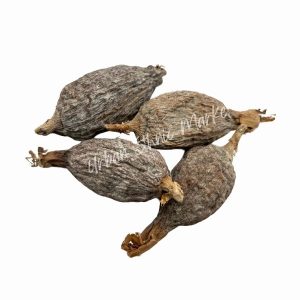 Alligator Pepper