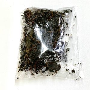 Fresh Bitterleaf