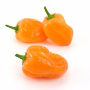 Fresh Chillies pack